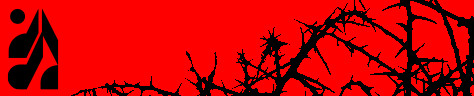 e30abb9a830fbda38ebdc18cf72e5c0d.jpg