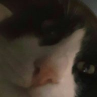 UbihsCrazy_
