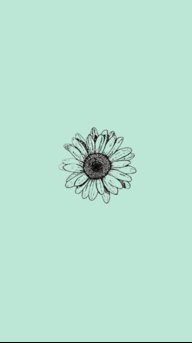Sunflwers